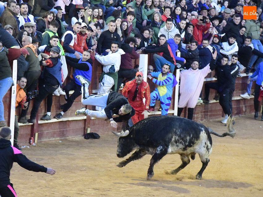 dos jóvenes heridos tras una cogida con voltereta en la capea en Ciudad Rodrigo