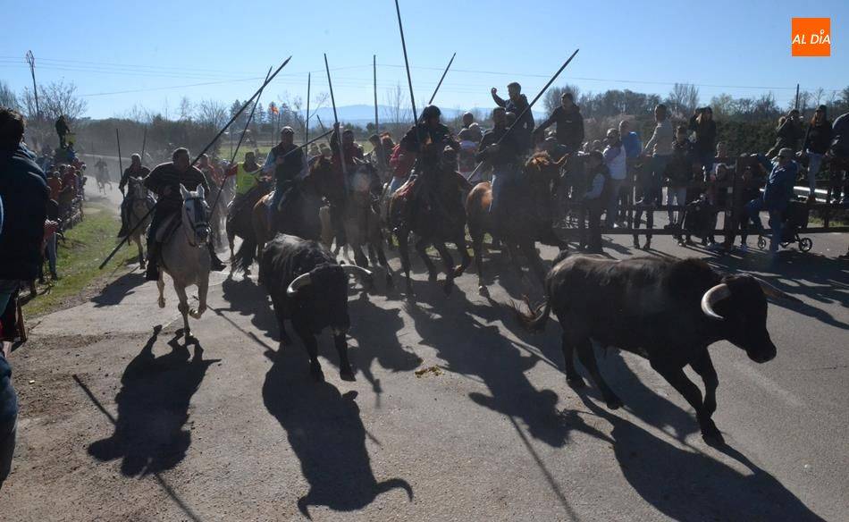 El Día de San Sebastián, fecha límite para decidir si el Carnaval 2022 sigue adelante en sus fechas